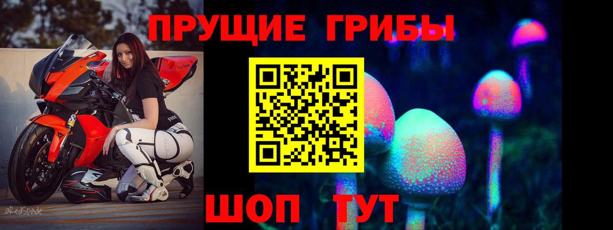 Урус-Мартан  Псилоцибиновые грибы мухоморы  Вход с VPN 