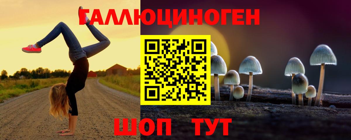 Псилоцибиновые грибы мухоморы Урус-Мартан